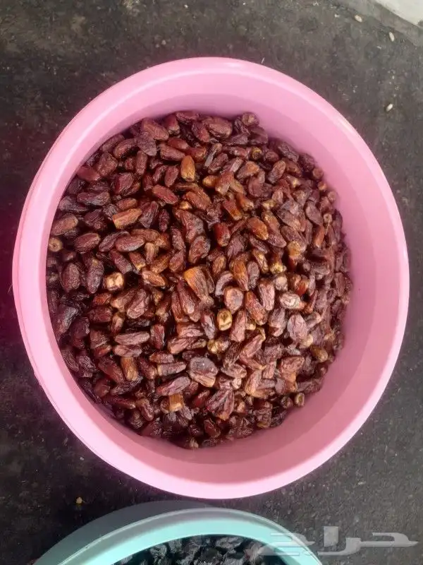 تمور حائل الفاخره 6