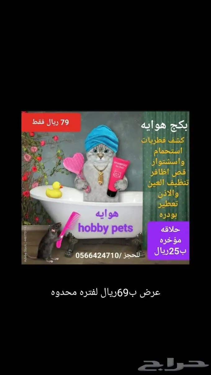 فندقه خمس نجوم يستحق حيوانك الاليف الراحه التامه 1