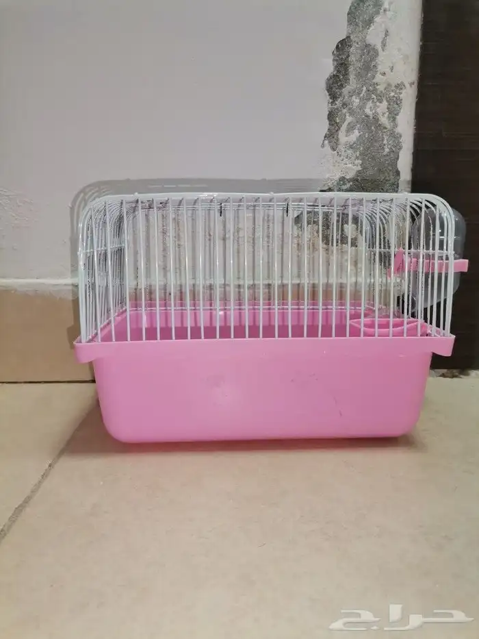 اغراض هامستر 7