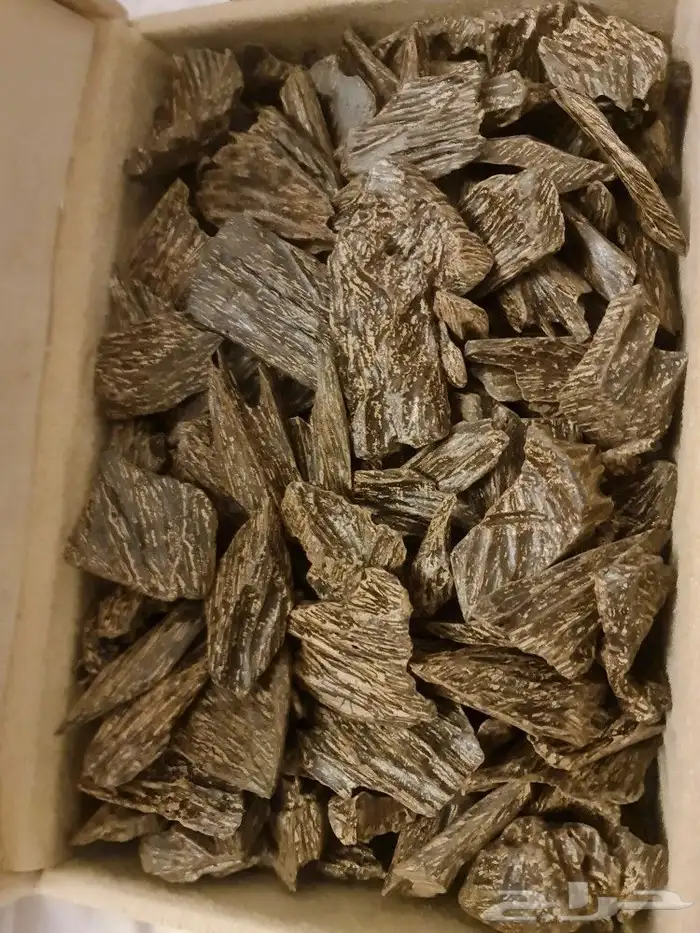 عود كبيودي ازرق فاخر 0