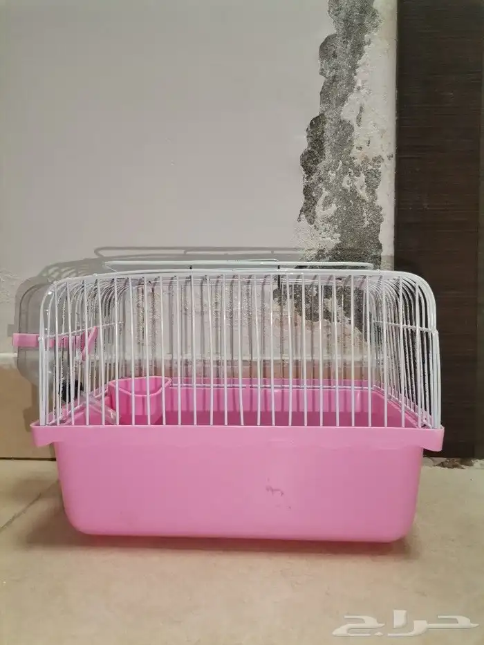 اغراض هامستر 6