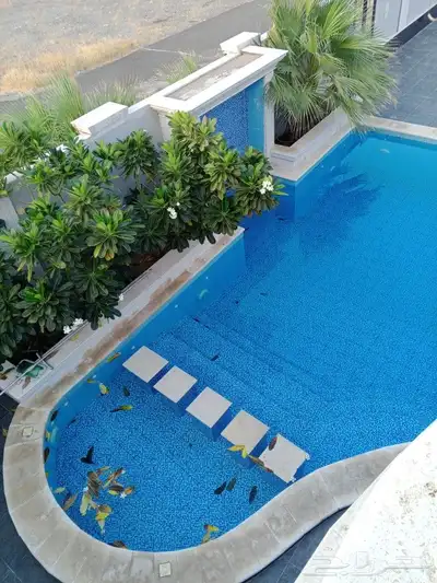 مقاول معماري 3