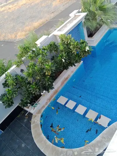 مقاول معماري 4