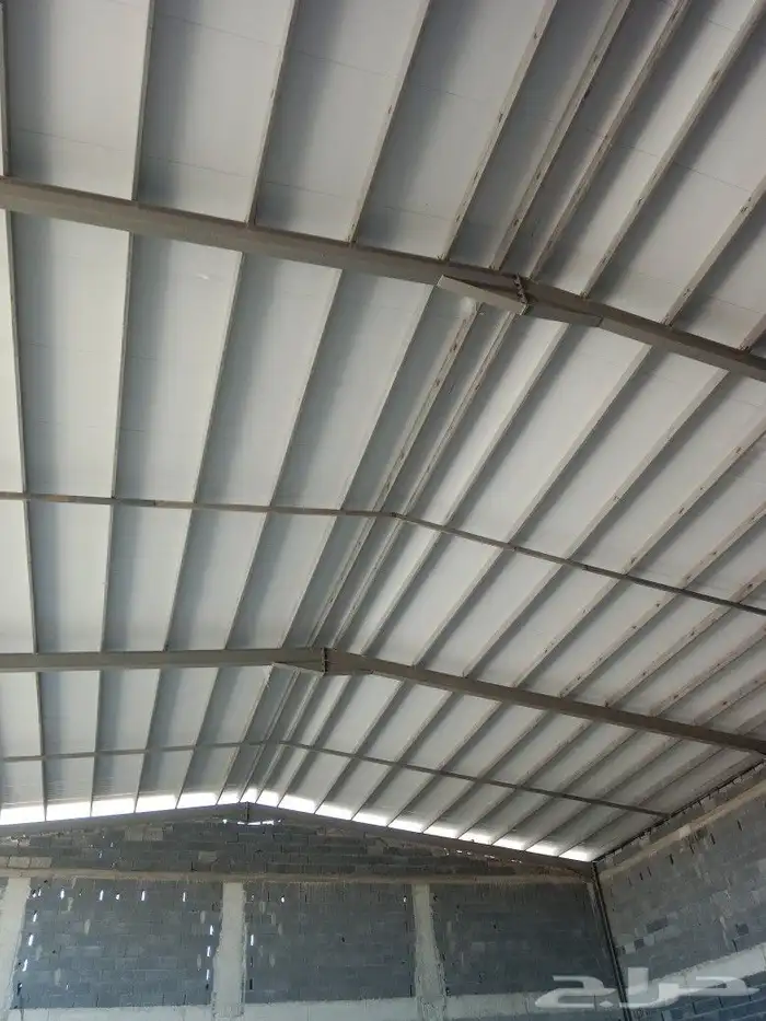 سندويش بنل مضلات وسواتر 5