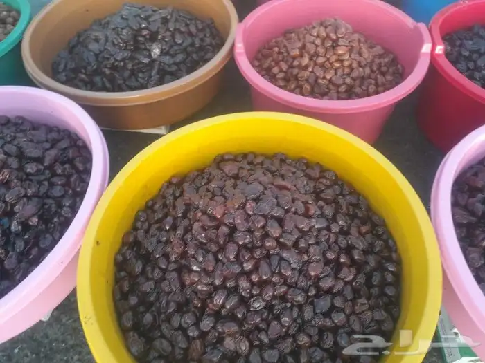 تمور حائل الفاخره 3