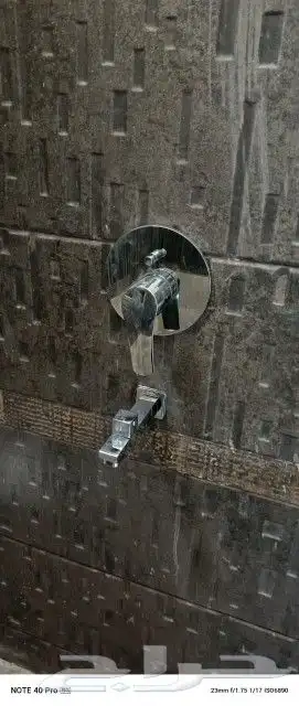 سباك باكستاني 3