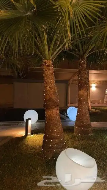 انارة led للتزين ديكور ليدات زينه للمخيمات 2