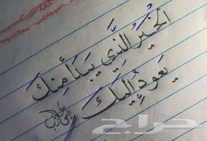 استشارات خاصه 0