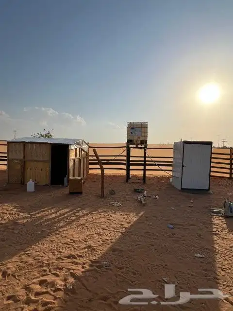 خيام بيوت شعر ابيض 0