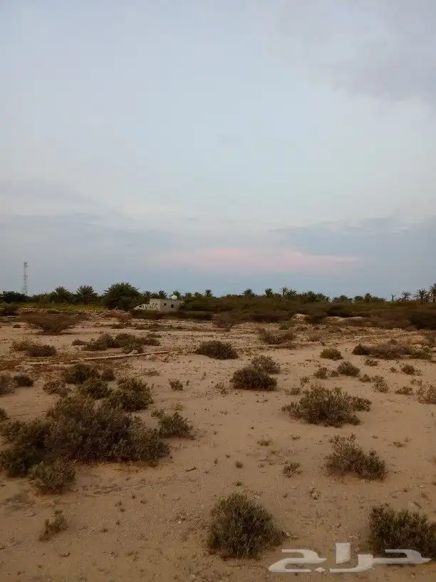 أرض قريبة من البحر في جزيرة فرسان قرية السقيد 4
