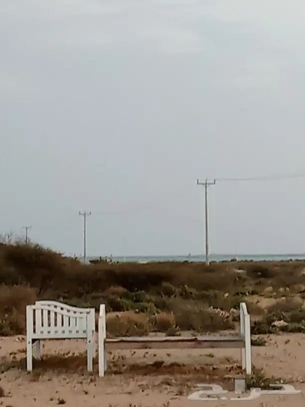 أرض قريبة من البحر في جزيرة فرسان قرية السقيد 0