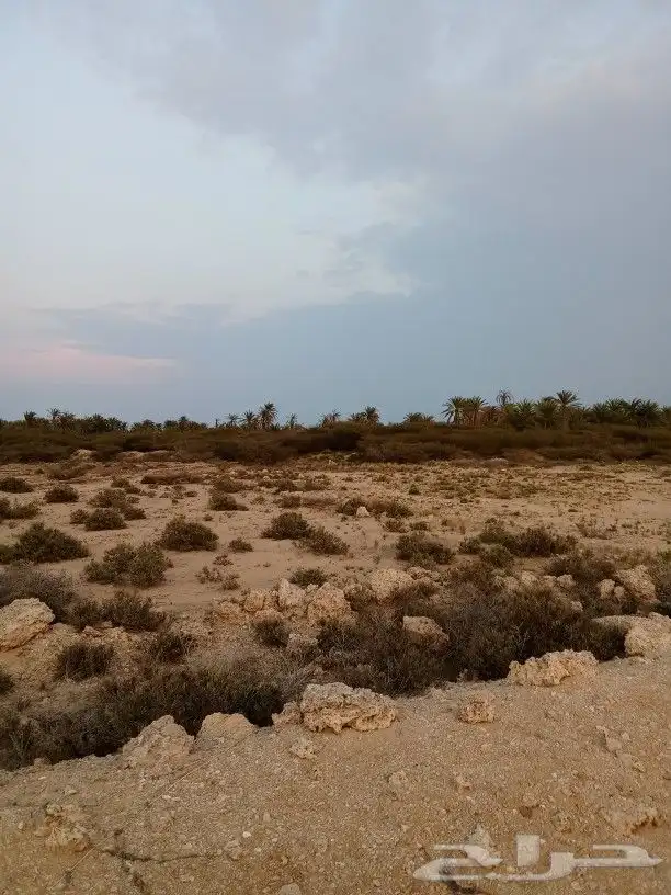 أرض قريبة من البحر في جزيرة فرسان قرية السقيد 14