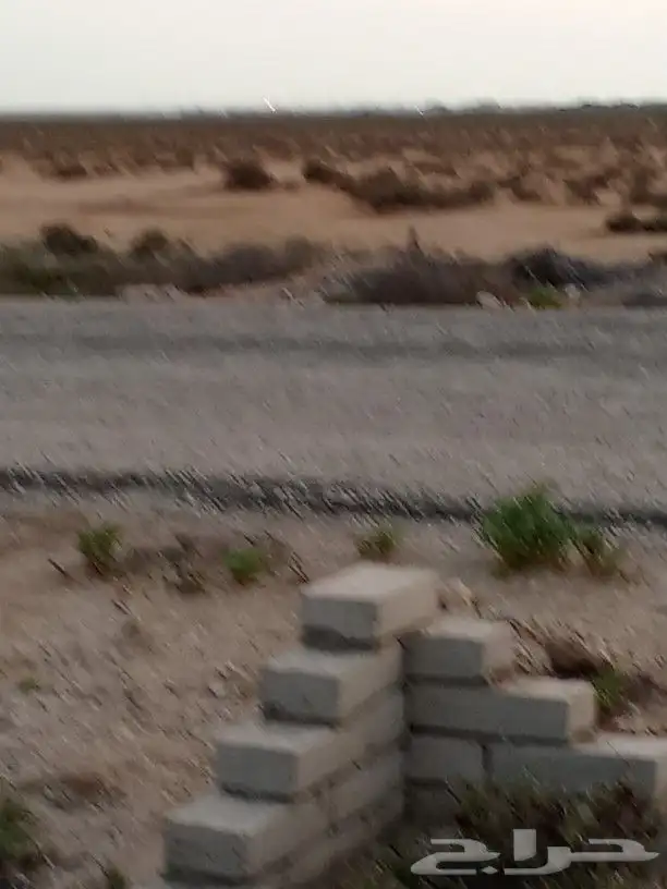 أرض قريبة من البحر في جزيرة فرسان قرية السقيد 11