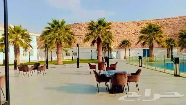 تاجير طاوله بولوت طاوله شطرنج طاوله كيرم بلاستيشن قهوجين 8