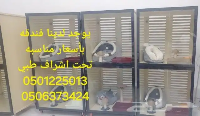 فندقة قطط وحيوانات اليفة 0