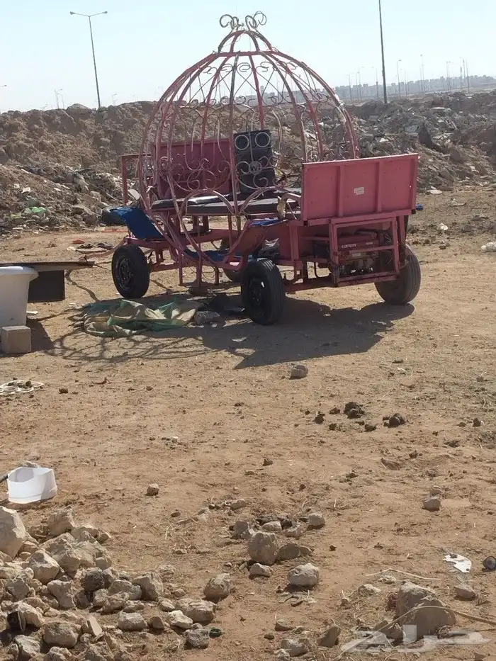 خيول دبابات طلعات 0