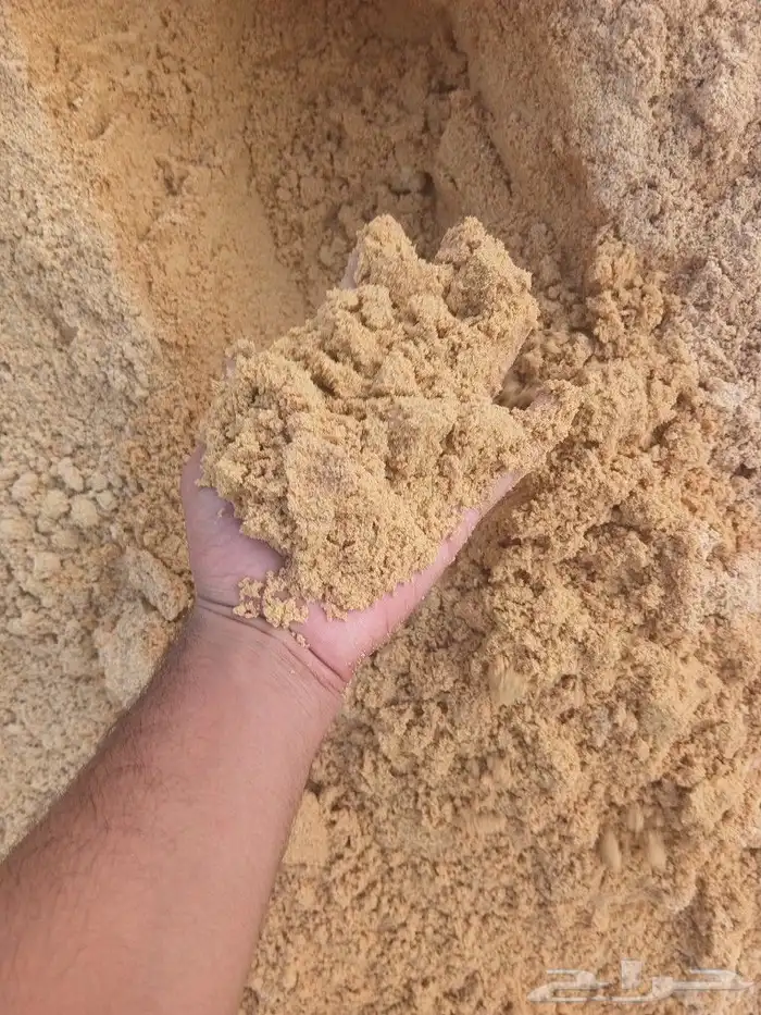 للبيع جميع انواع بطحا 100 100TopTop Talisman 0