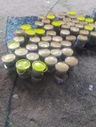 تمور حائل الفاخره 5