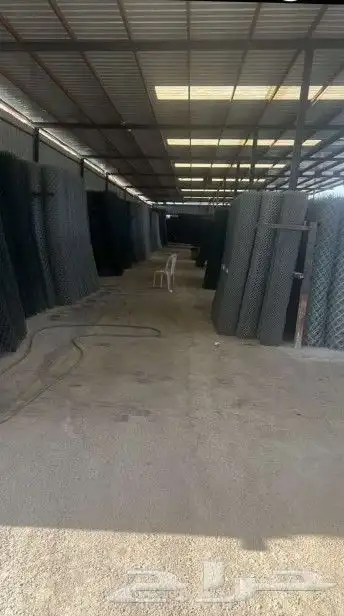 زراعه نخيل 3