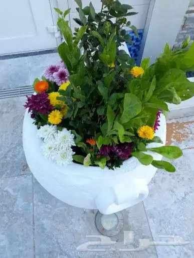 تنسيق حدائق 9