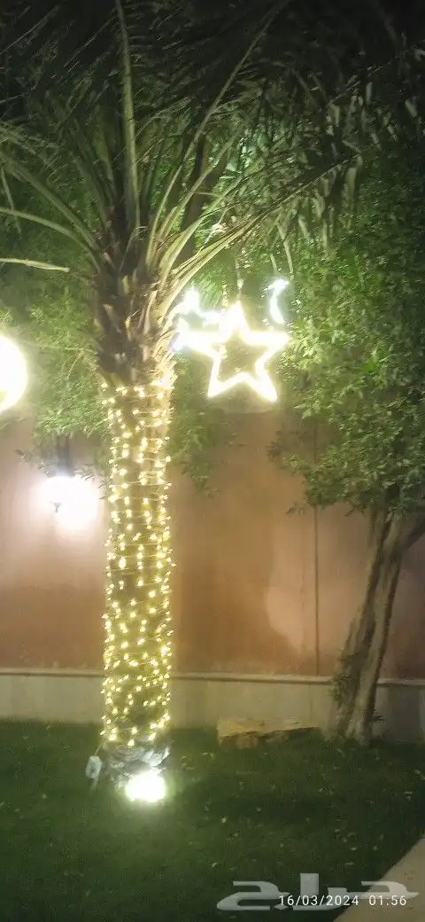 اعراس ومناسبات 16