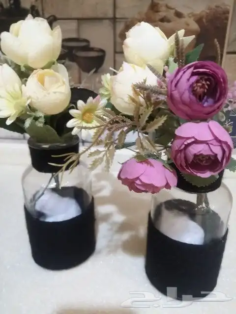 علب زينه 1