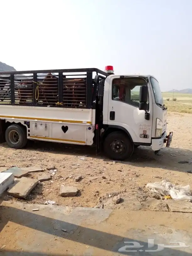 دينا نقل عفش مواشي نحل من داخل وخارج محايل عسير 0