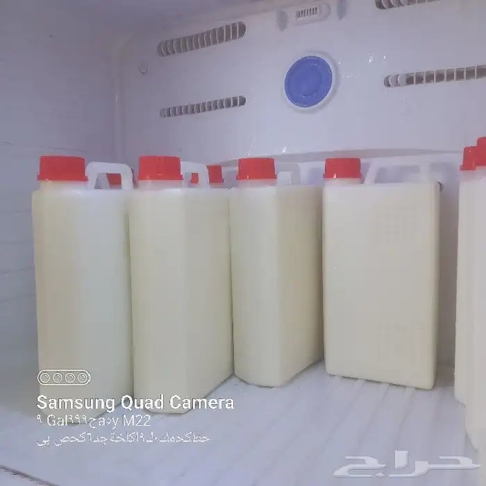 حقنه وسمن ابقار بلدي 1