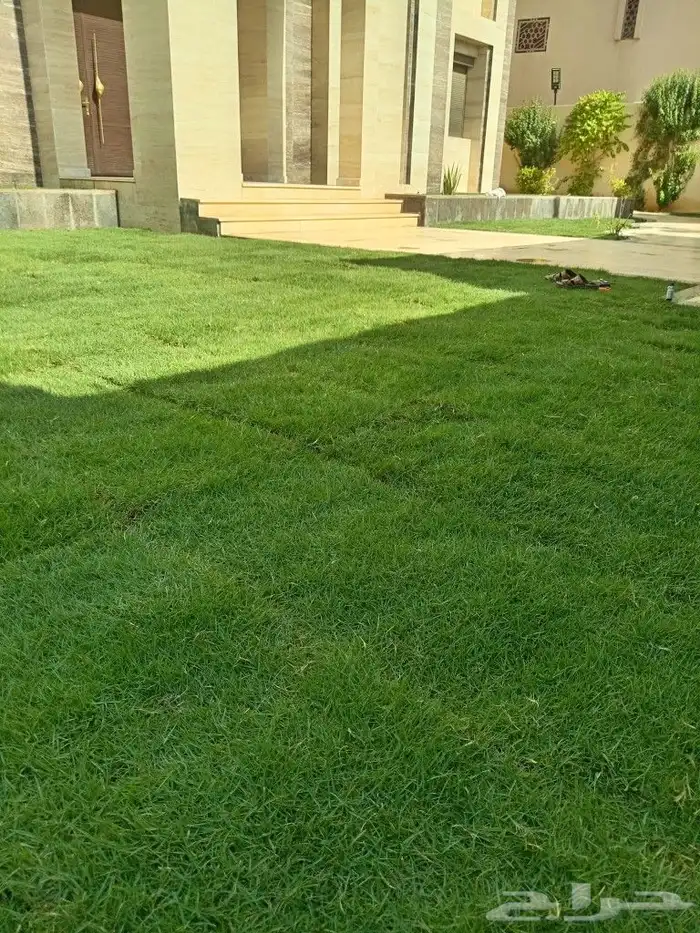 ثيل طبيعي سي 2000 فرنسي 0