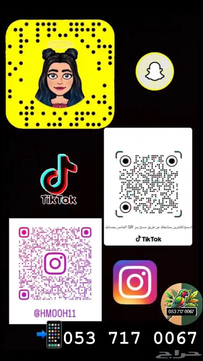 للبيع ببغاء الروز الاليف مناسب للاطفال 9