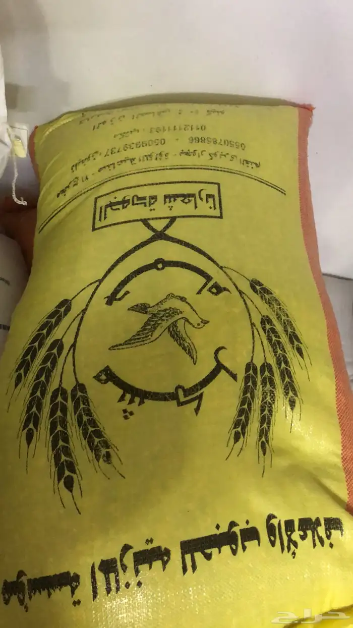 اكل حمام مشكل مكعبات بياض لاحم بروتين مخصوص 0