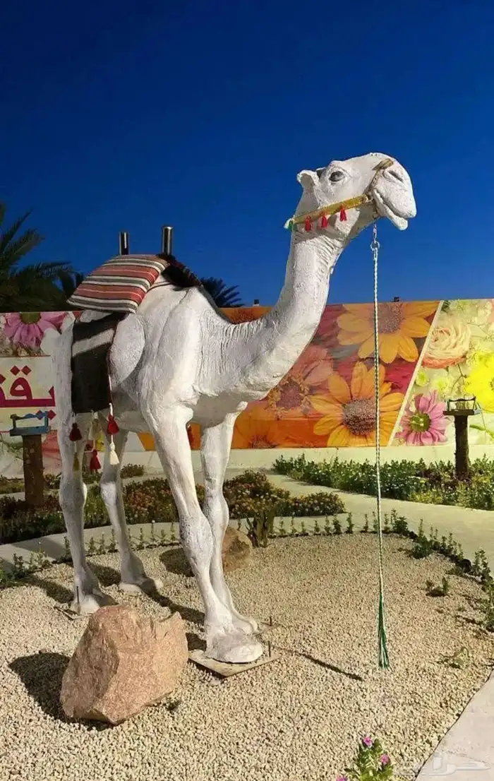 مجسمات 7