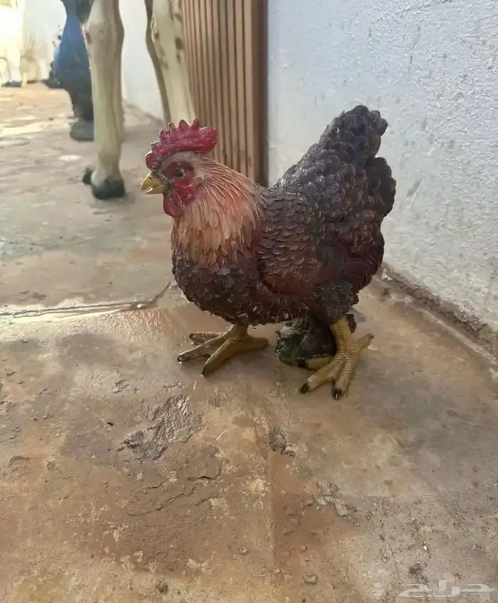 مجسمات 11