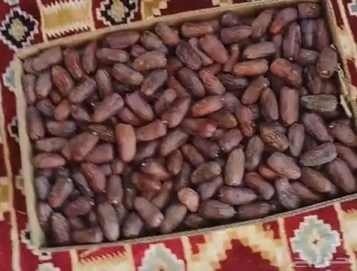 عجوة المدينة المنورة الفاخرة الكمية محدودة 2
