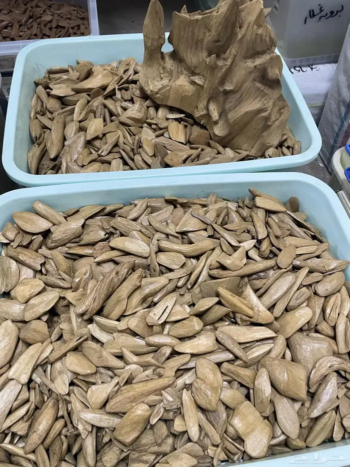 عود جملة موروكي طبيعي اصقون 2