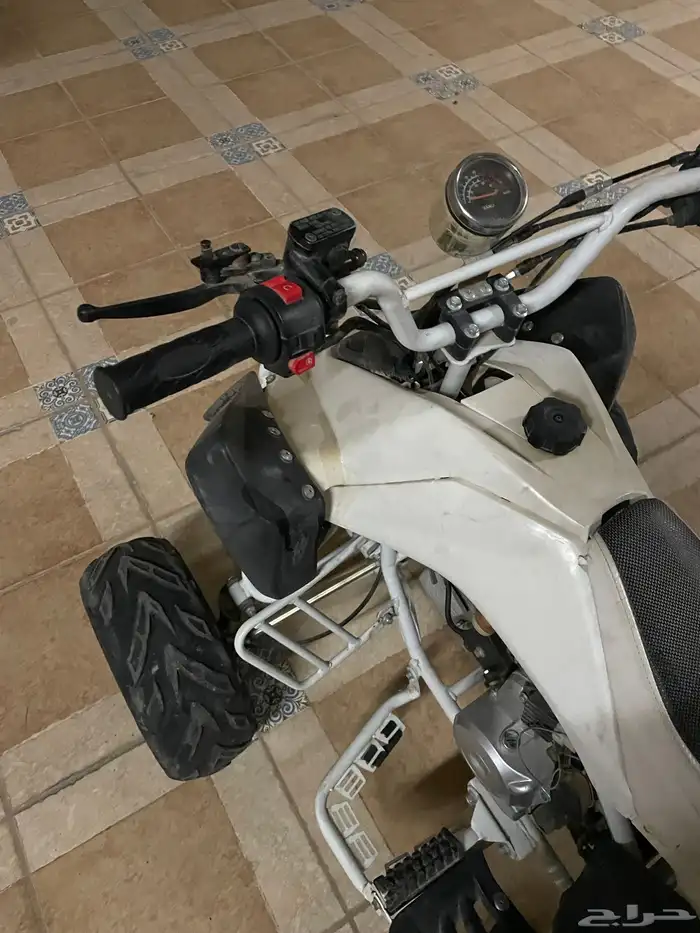 دباب فراشه 2