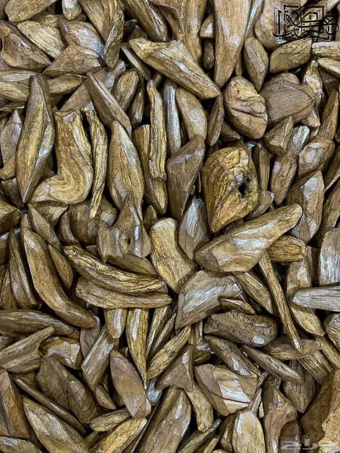عود مروكي ميني طبيعي محسن ملكي 2