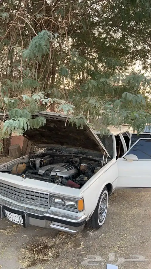 كابرس 84 مرهم 2