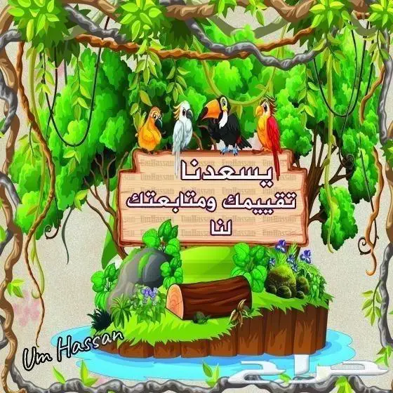 ذكر دره نيبالي حجم كبير (( تم البيع )) 5