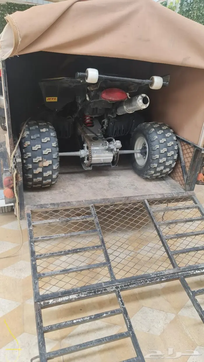 قلص للايجار 1
