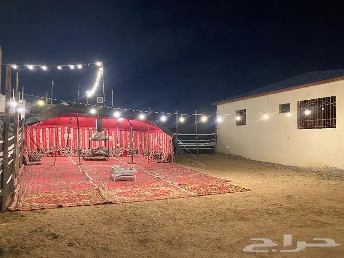 خيمة ب 100 وخيمه ب 200 مع المشب والحمام 10