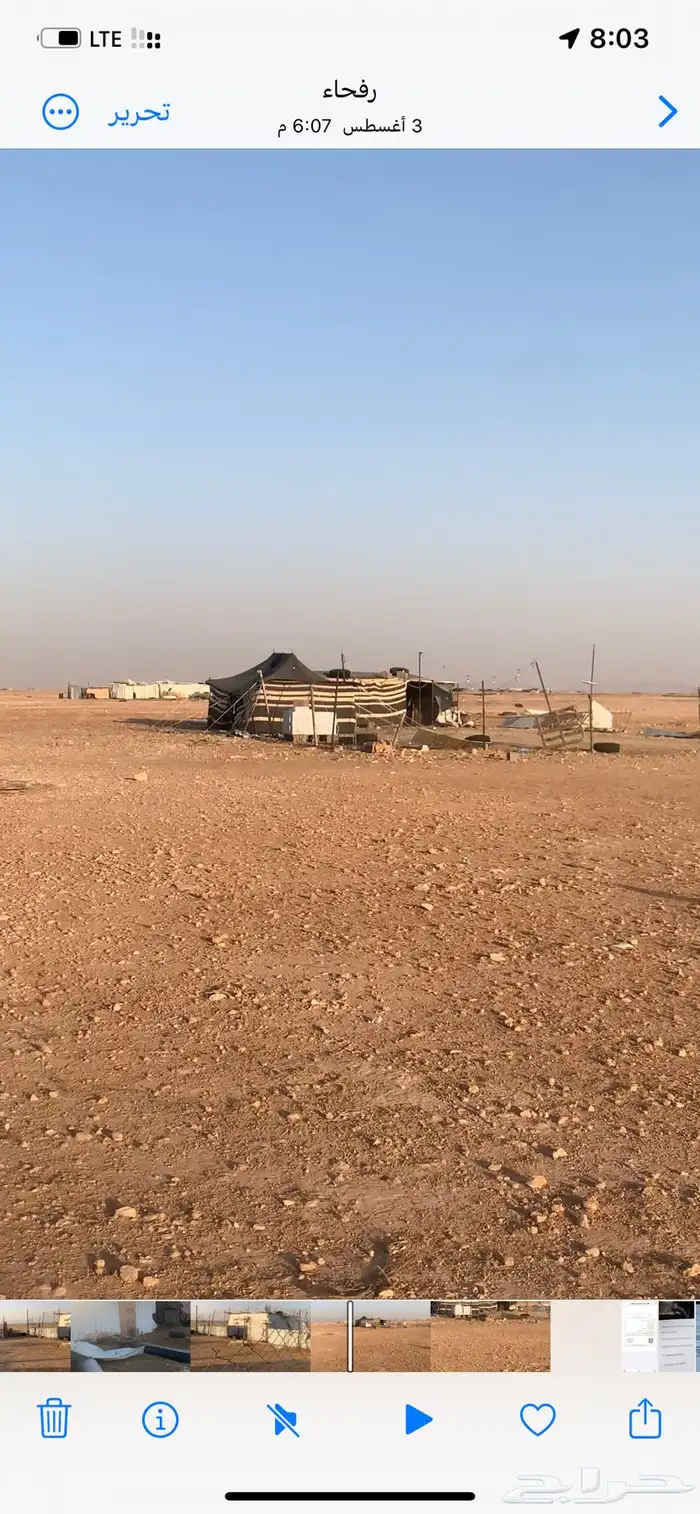 شبك للبيع برفحاء 4