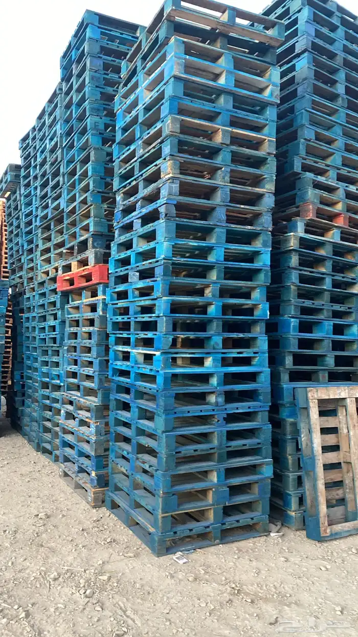 طبليات أزرق يتوفر كميات كبيرة للشركات والمصانع 11