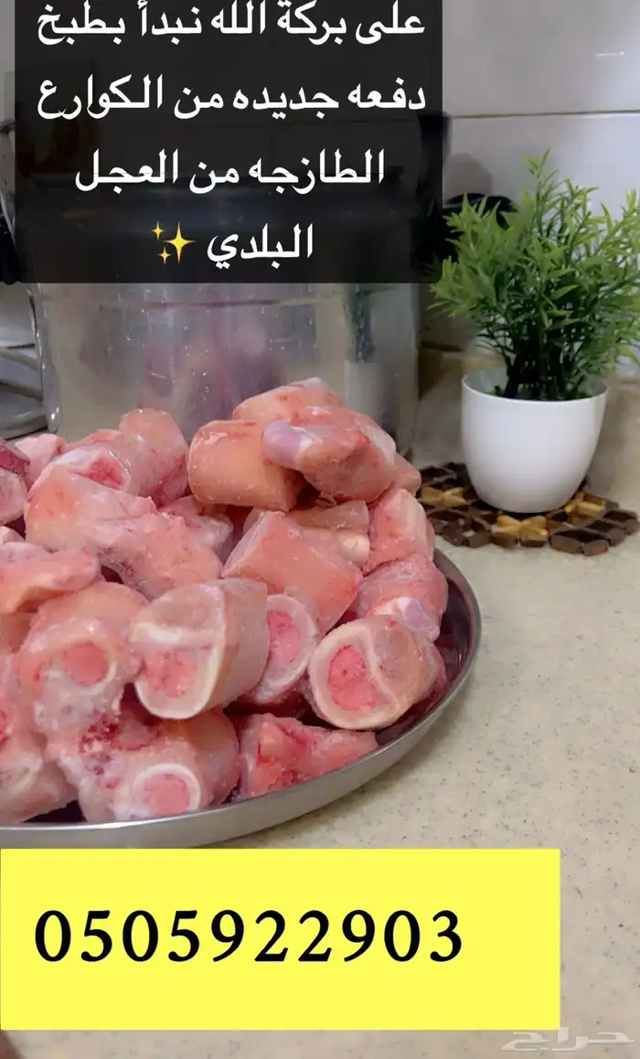 اجود كولاجين من عظم البقر البلدي الطازج 1