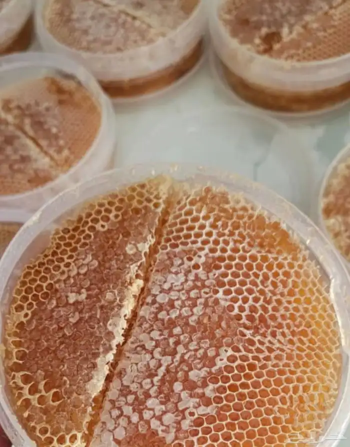 عسل سدره وسمره وطلحه وغذاء الملكات وغيرها اصلي ومضمون 6