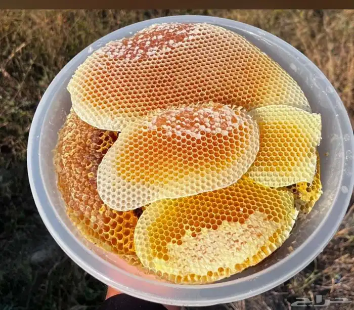 عسل سدر وسمره مضمون 0