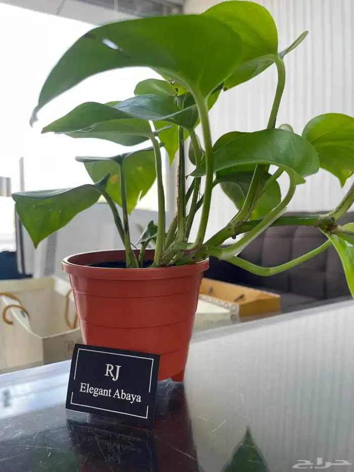 مطبعة مطابع طباعة كروت شخصية فواتير سندات عقود اختام استيكر 4