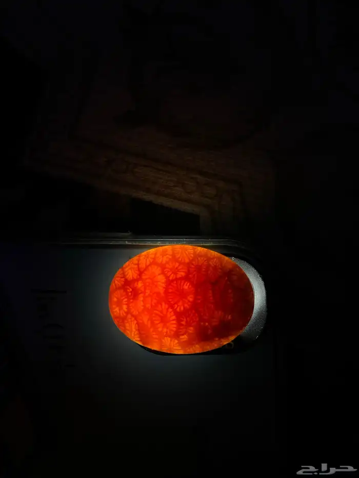 فصوص 0