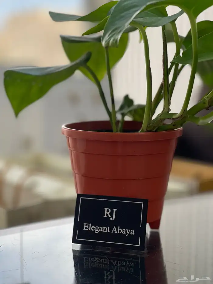 مطبعة مطابع طباعة كروت شخصية فواتير سندات عقود اختام استيكر 6