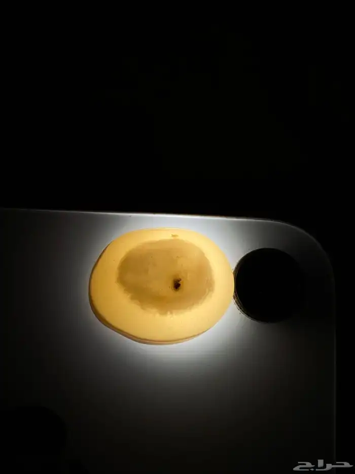 فصوص 1